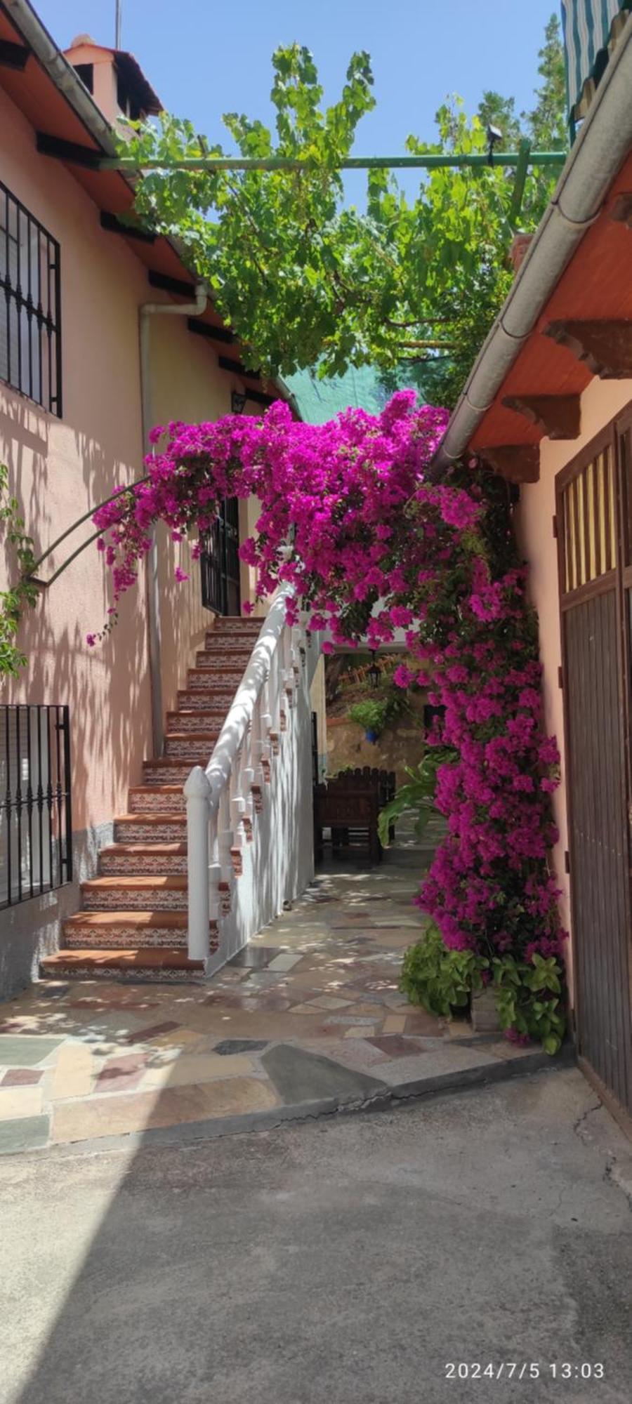 לה אירואלה Cortijo De Las Flores Cazorla מראה חיצוני תמונה