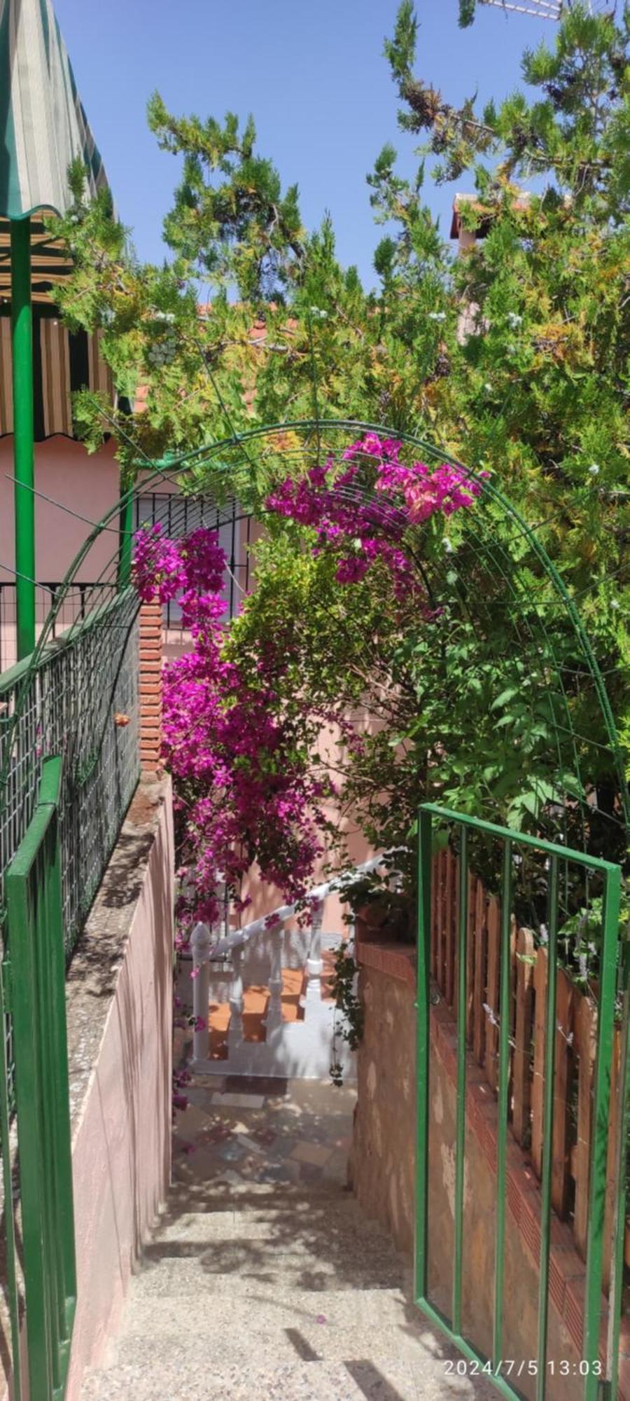 לה אירואלה Cortijo De Las Flores Cazorla מראה חיצוני תמונה