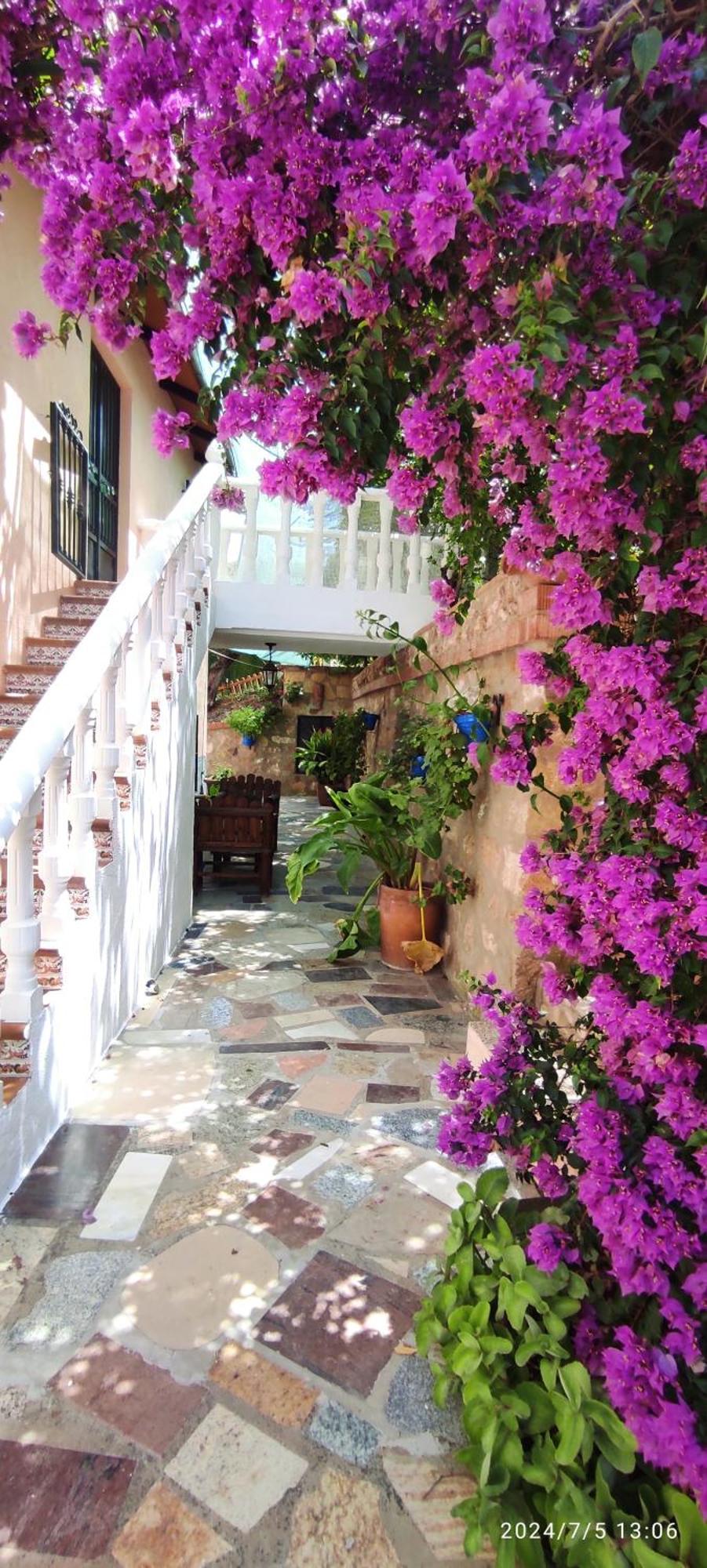 לה אירואלה Cortijo De Las Flores Cazorla מראה חיצוני תמונה